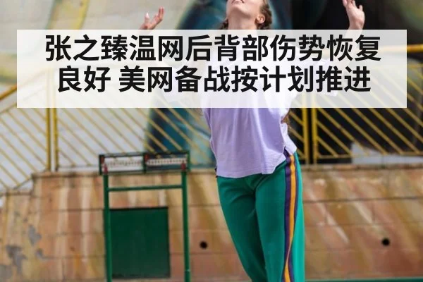 张之臻温网后背部伤势恢复良好 美网备战按计划推进