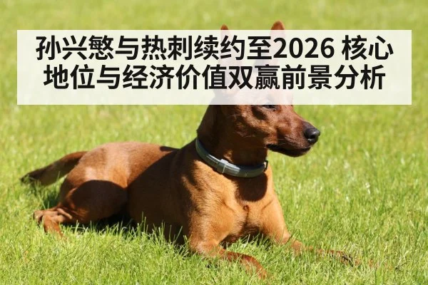 孙兴慜与热刺续约至2026 核心地位与经济价值双赢前景分析